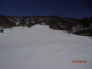 今回もこのゲレンデの脇が住処です！