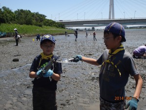 カニのハサミは強いぞ！